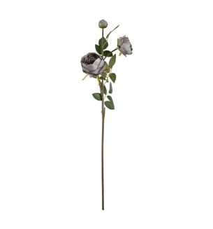 Elizabeth Garden Rose Spray x 3 Grey