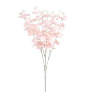 eucalyptus-bush-pink-x16