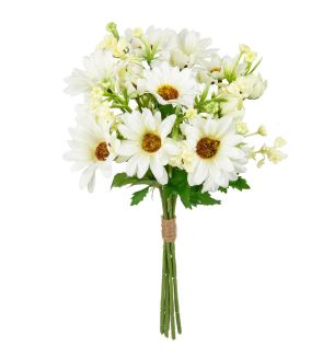 Gerbera Daisy Mixed Bush White