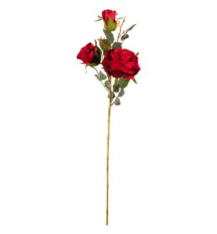 Large Charlotte Rose Spray Red Single Stem x3 Heads