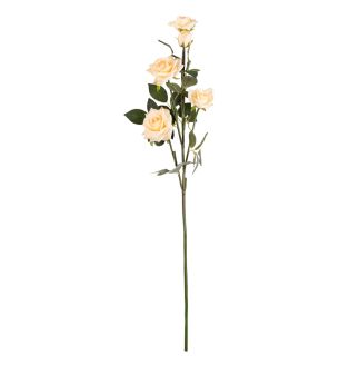 Large Diana Rose Spray Nude x 5
