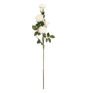 Large Diana Rose Spray White x 5
