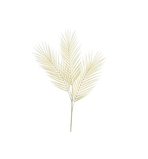 Essential Dry Look Bleached Fern Leaf