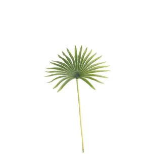real-touch-fam-palm-green--50cm-