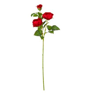 Rose Spray Red 70cm 3 Heads