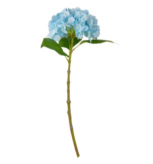 Small Head Hydrangea Light Blue