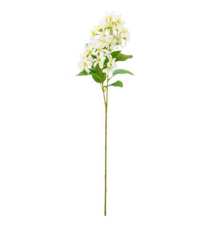 Vernicia Flower Spray x2 Ivory Single Stem
